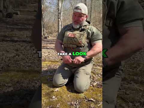 Uncovering Wildlife Secrets: Tracking Turkey Activity in the Woods