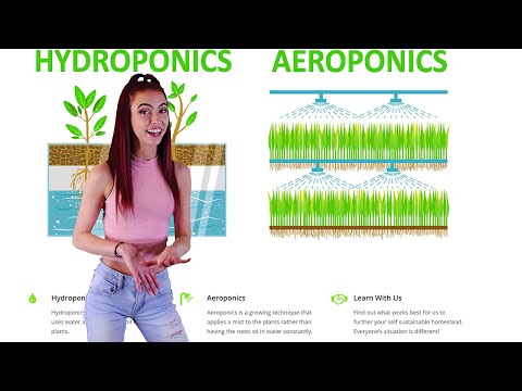 Aeroponics vs Hydroponics - Which is Better?