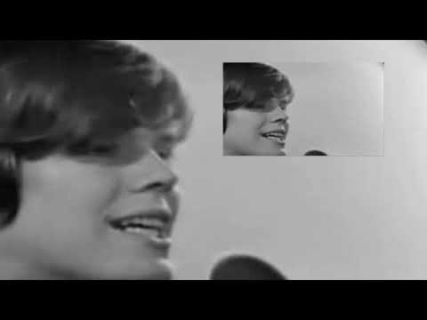 Herman's Hermits - No Milk Today