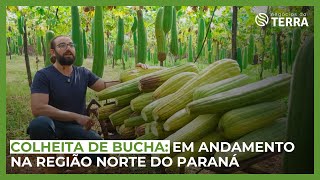 Miniatura do vídeo
