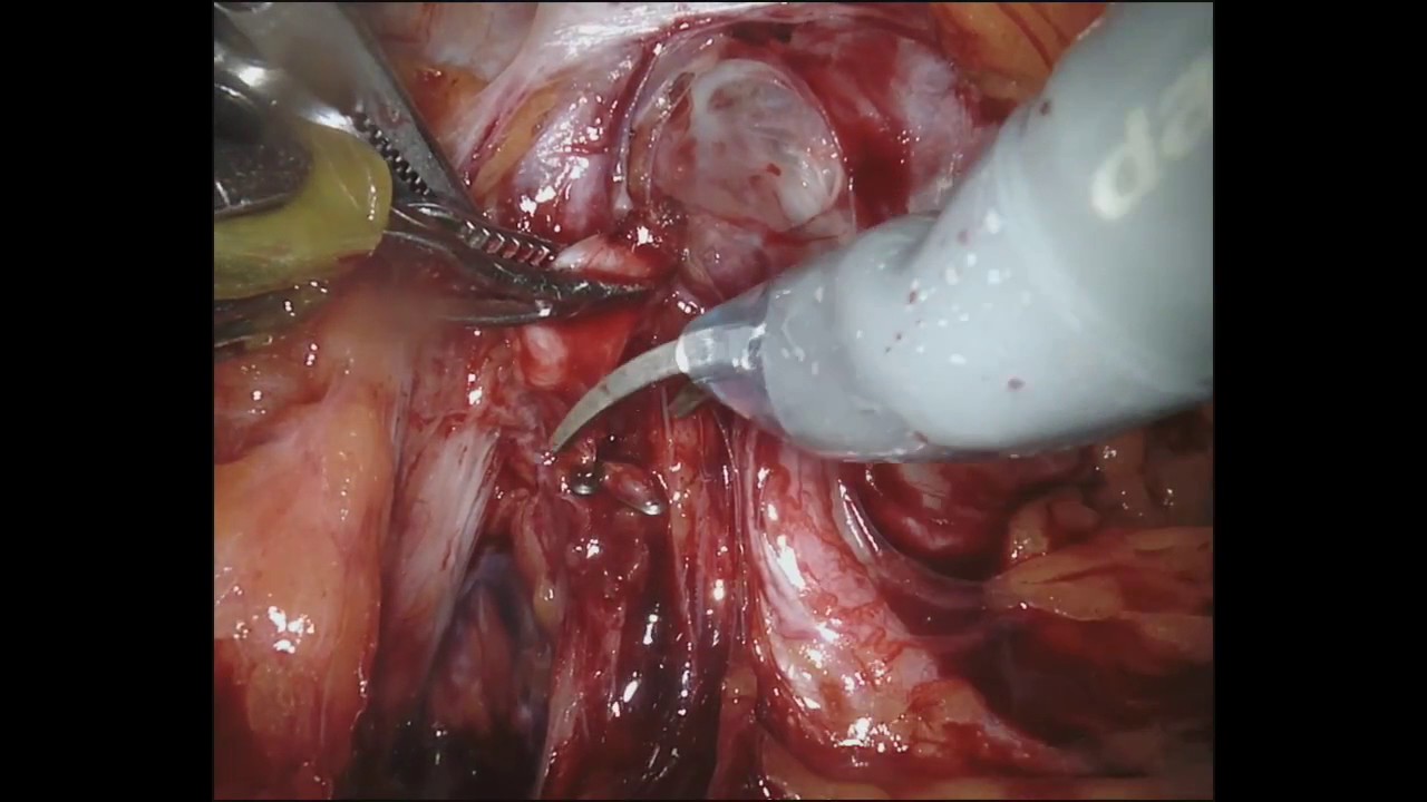 Fernando Gómez Sancha-14