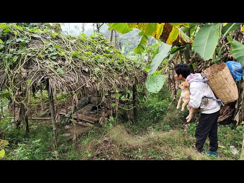 Trieu Thuan discovered an abandoned house in the forest, cleaned it up, and then stayed there.