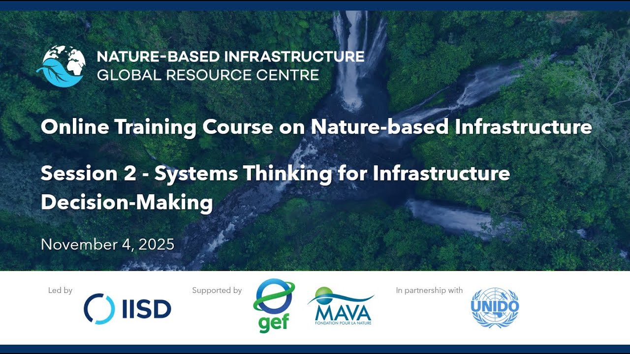 NBI Academy 2025 Live Program | Session 2 - Systems Thinking for Infrastructure Decision-Making