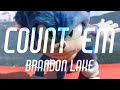 Count Em Brandon Lake AMV Sonic The Hedgehog