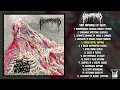Hemorrhoid Raw Materials Of Decay LP FULL ALBUM 2024 Deathgrind