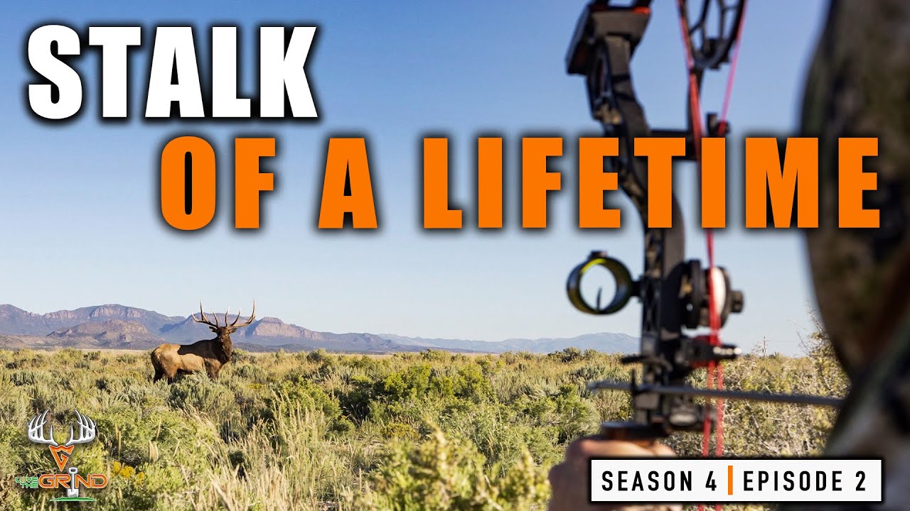 S4E2 Stalk of a Lifetime