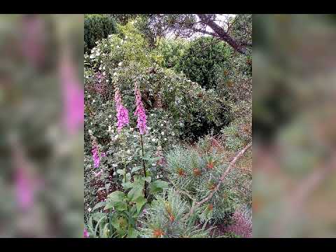 Elmstein, Deutschland