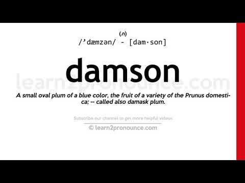 Pronunciation of Damson | Definition of Damson