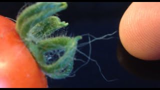 Rinforza l'Unione tra il tuo cuore e la realtà