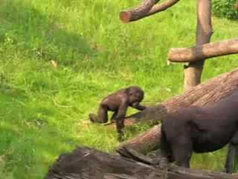 Pražská ZOO -- Moja