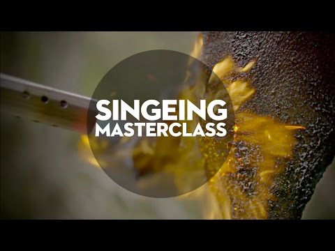 HUNTERS CLUB - Singeing Masterclass