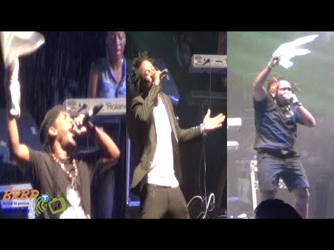 FARMER NAPPY LYRIKAL & TALLPREE LIVE @ PREEDAY 2022 - BRBPTV