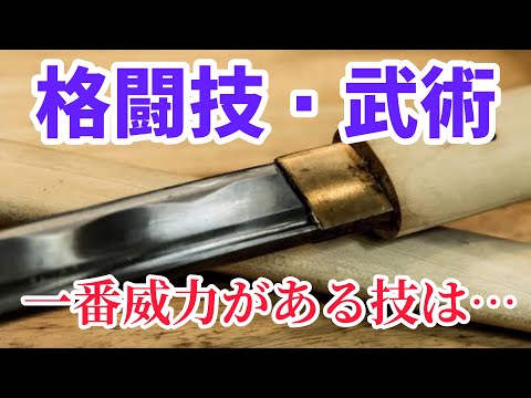 観覧注意【急所と悲鳴】格闘技・武術…一番威力がある技は○○熊澤伸哉
