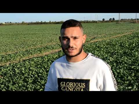 OFICIAL VIDEO FRANTO (HOT  16 CHALLENGE)