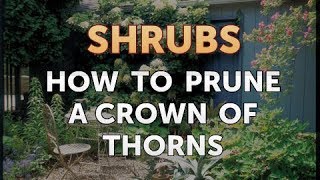 How to Prune a Crown of Thorns