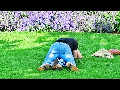 Why Do You Vlog?