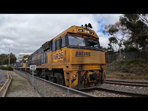 #NR36, #NR93 & #NR111 lead 7MP7 through Keswick