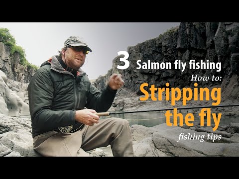 How to • Salmon fly fishing • Stripping the fly • fishing tips