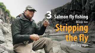 How to • Salmon fly fishing • Stripping the fly • fishing tips