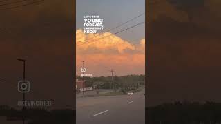 summer vibes - no regrets