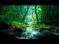Stop Overthinking Beautiful Relaxing Music Stress Relief Music Sleep Music Calming Music