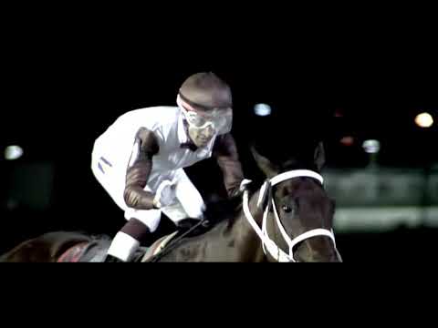 Actividad Hípica Maroñas