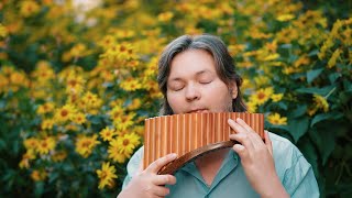 Download lagu Song from a Secret Garden - relaxing instrumental music mp3 Download lagu Song from a Secret Garden - relaxing instrumental music mp3