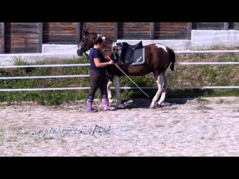Schaukel Vor Zurück Jumper 130829