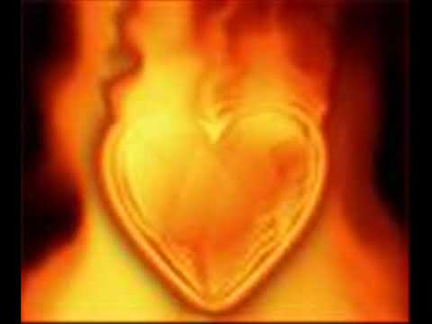 crystal dreamz fuego testing vocals