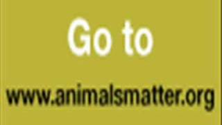 DO ANIMALS MATTER TO YOU Video