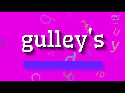 How to say "gulley's"! (High Quality Voices)