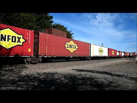 Pacific National Freight Train 2PM6 NR91 NR103 Nairne, S Australia 19 June 2025