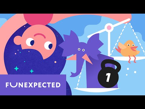 😸Let’s Weigh Animals! ⚖️ | Weighing on a Scale | Introduction to Equations | Fun Math For Kids