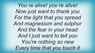 Swans - She Lives Lyrics