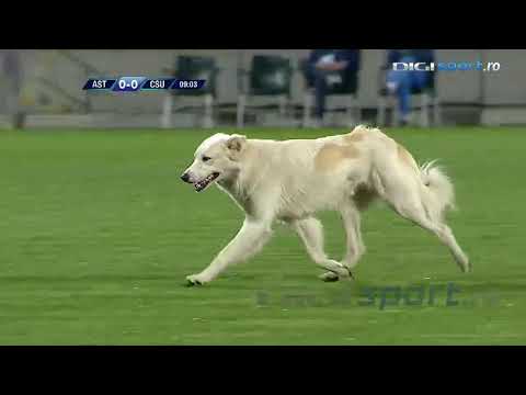 Astra Giurgiu 1-0 Universitatea Craiova ETAPA 16 2015-16