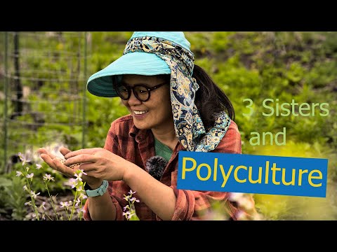 Polyculture Planting,  Succession Planting and Three Sisters Method