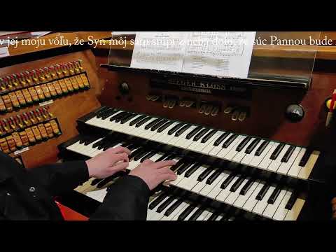 JKS 19 - Po zlom páde (Dóm sv. Alžbety)