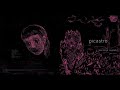 Picastro - The stiff