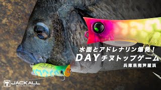 【兵庫県/南芦屋浜】水面とアドレナリン爆発！ DAYチヌトップゲーム