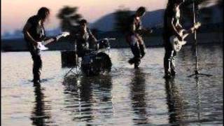 Rulo y la Contrabanda- Especies en Extinción- A punto de colapsar