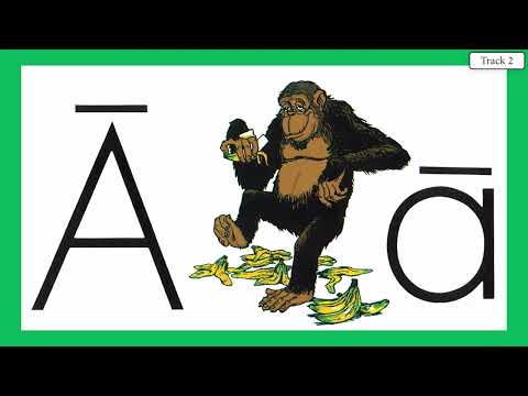 AGING APE 1   VOCAL ABC'S WITH ACE AND CHRISTI