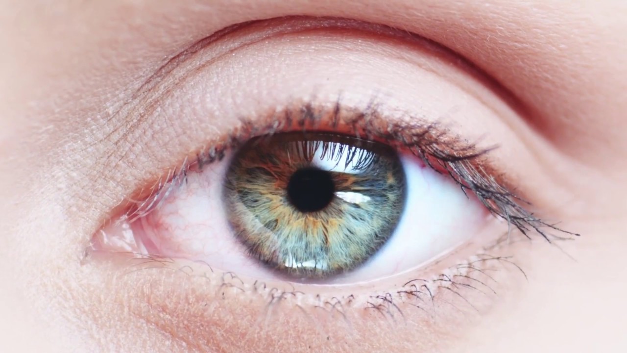 Trailer OsterTango 2017 Lionel Wirz