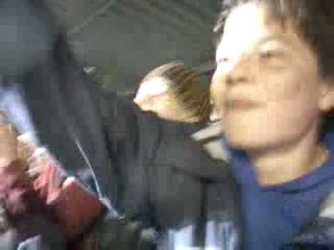 AGOVV-MVV 2-3 Blauwen apeldoorn