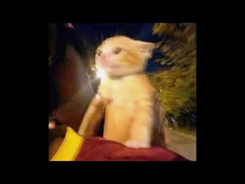 digital silence - sped up (nightcore)