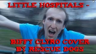 Little Hospitals - Biffy Clyro Cover By Rescue Dogs