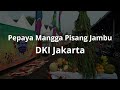 Lirik Pepaya Mangga Pisang Jambu Lagu Daerah DKI Jakarta