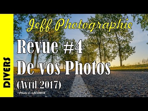 Divers - Revue de vos photos #4 - Thème : Au ras du sol (Avril 2017) - Episode n°142