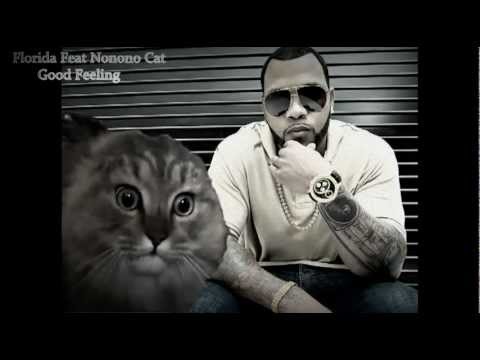 Flo Rida Feat Nonono Cat - Good Feeling