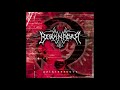 Borknagar - Ruins Of The Future