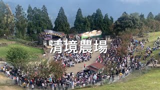 清境農場 剪羊秀 馬術秀 天空步道 小瑞士花園
